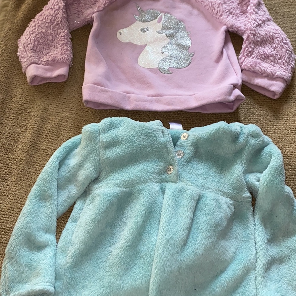 The Children’s Place Size 2 Toddler Sweatshirt & Carter’s size 24 mos sw…